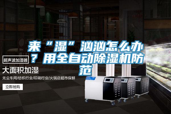 來“濕”洶洶怎麽辦？用全自動香蕉视频国产防範
