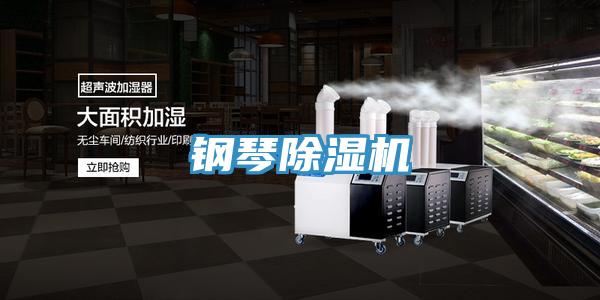 鋼琴香蕉视频国产