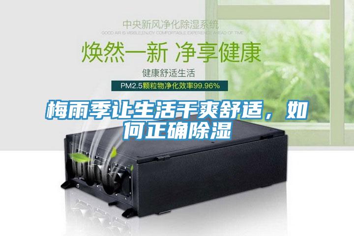 梅雨季讓生活幹爽舒適，如何正確除濕