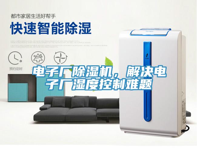 電子廠香蕉视频国产，解決電子廠濕度控製難題