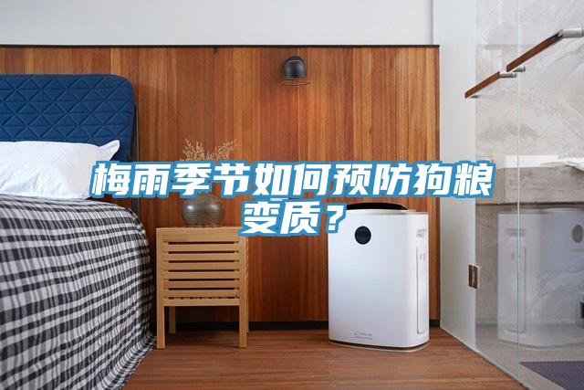梅雨季節如何預防狗糧變質？