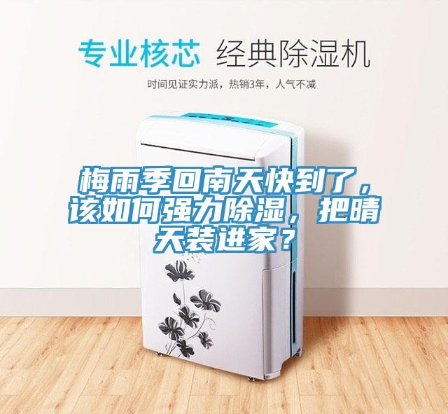 梅雨季回南天快到了，該如何強力除濕，把晴天裝進家？