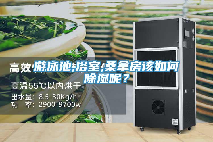 遊泳池,浴室,桑拿房該如何除濕呢？