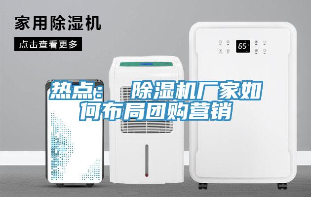 熱點： 香蕉视频国产廠家如何布局團購營銷