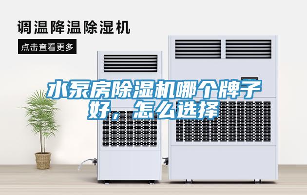 水泵房香蕉视频国产哪個牌子好，怎麽選擇