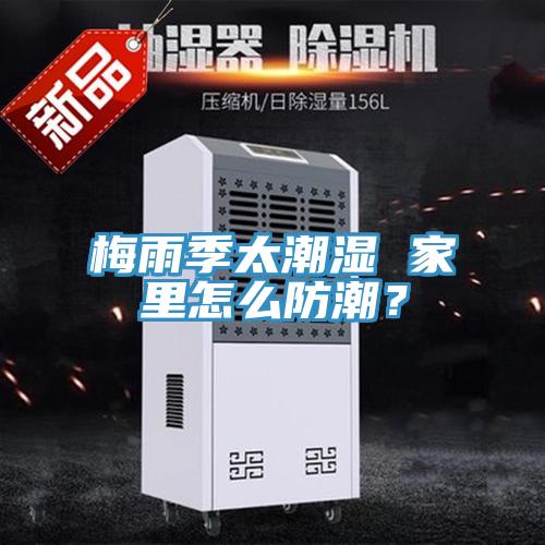 梅雨季太潮濕 家裏怎麽防潮？