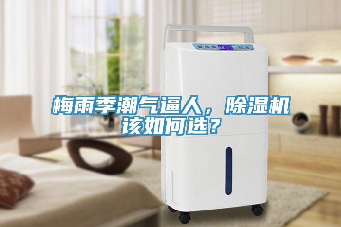 梅雨季潮氣逼人，香蕉视频国产該如何選？