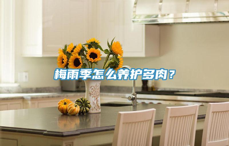 梅雨季怎麽養護多肉？