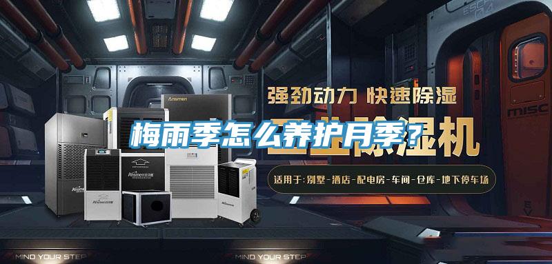 梅雨季怎麽養護月季？