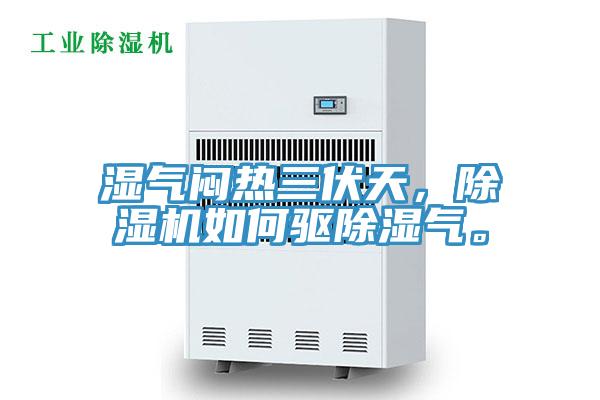 濕氣悶熱三伏天，香蕉视频国产如何驅除濕氣。