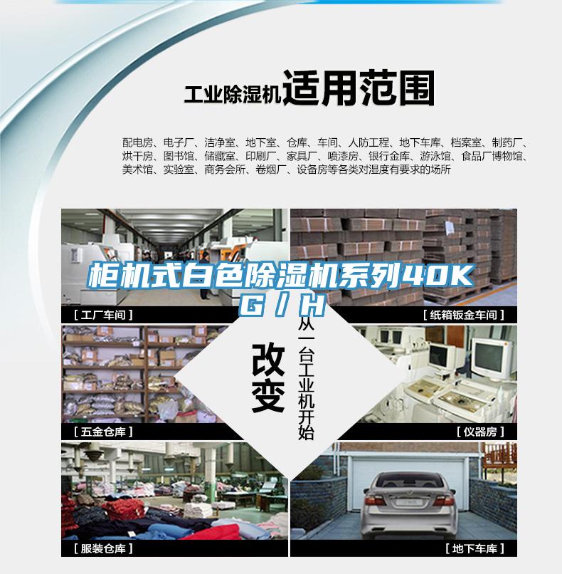 櫃機式白色香蕉视频国产係列40KG／H