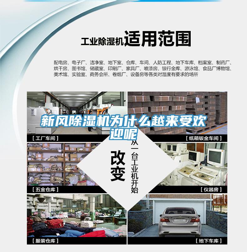 新風香蕉视频国产為什麽越來受歡迎呢
