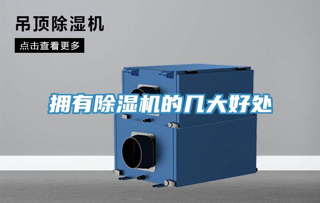 擁有香蕉视频国产的幾大好處