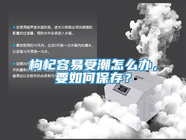 枸杞容易受潮怎麽辦，要如何保存？