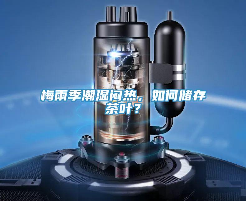 梅雨季潮濕悶熱，如何儲存茶葉？
