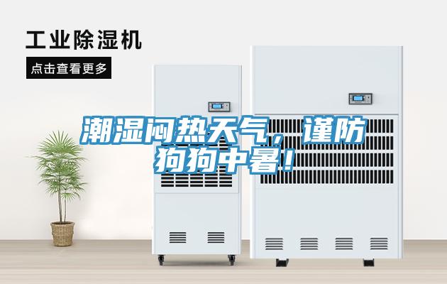 潮濕悶熱天氣，謹防狗狗中暑！