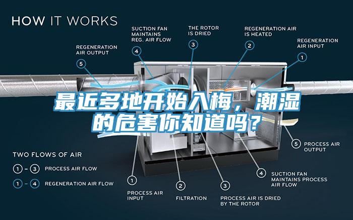 最近多地開始入梅，潮濕的危害你知道嗎？