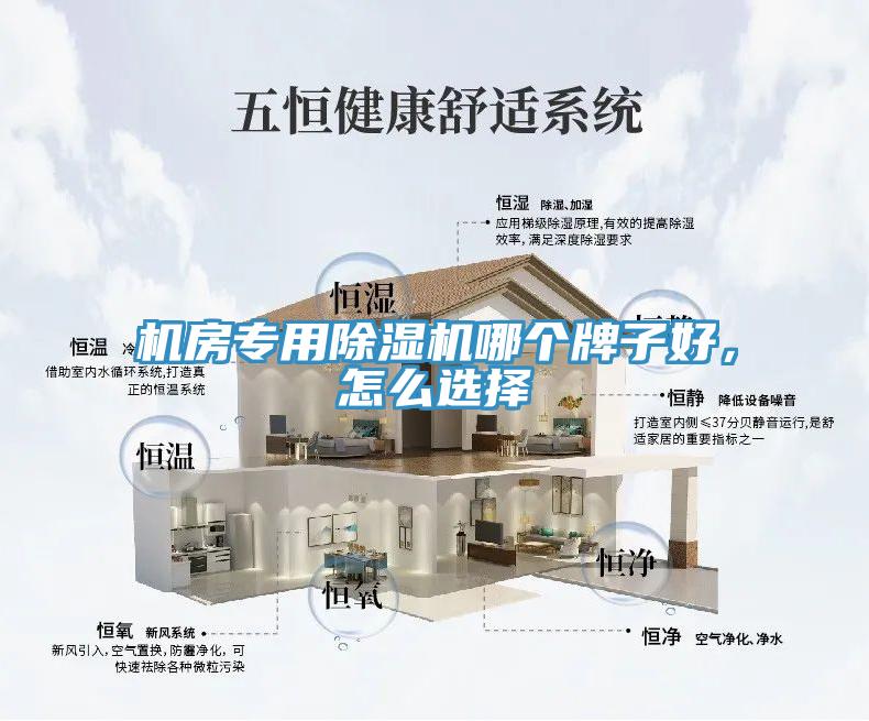機房專用香蕉视频国产哪個牌子好，怎麽選擇