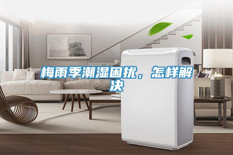 梅雨季潮濕困擾，怎樣解決