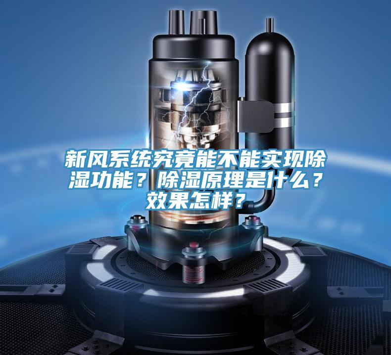 新風係統究竟能不能實現除濕功能？除濕原理是什麽？效果怎樣？