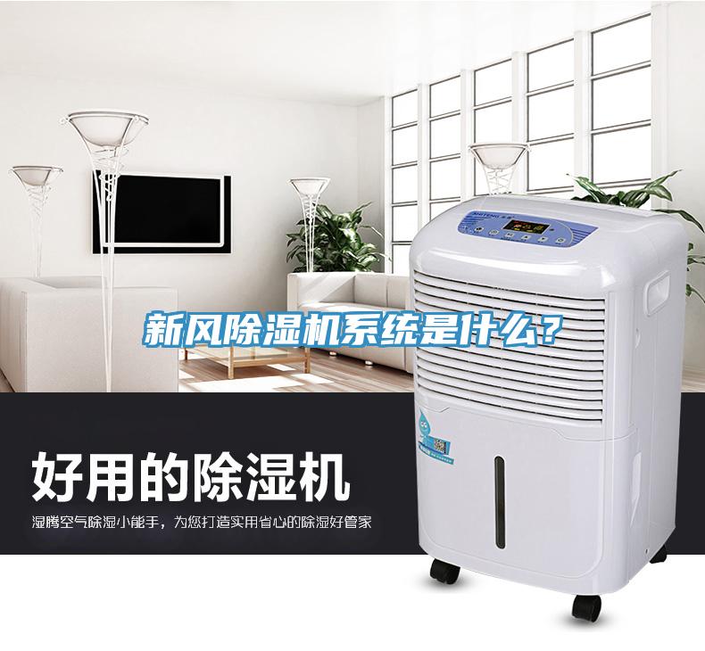 新風香蕉视频国产係統是什麽？