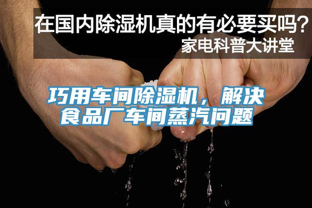 巧用車間香蕉视频国产，解決食品廠車間蒸汽問題