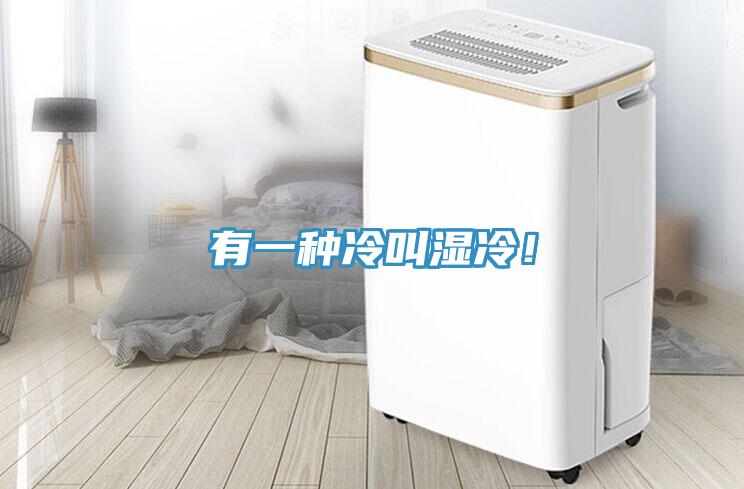 有一種冷叫濕冷！