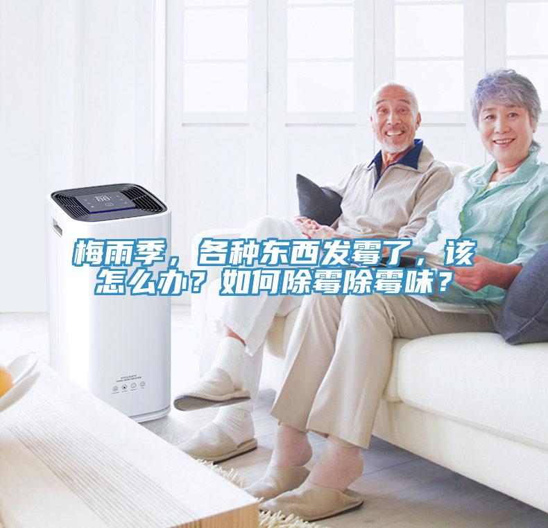 梅雨季，各種東西發黴了，該怎麽辦？如何除黴除黴味？