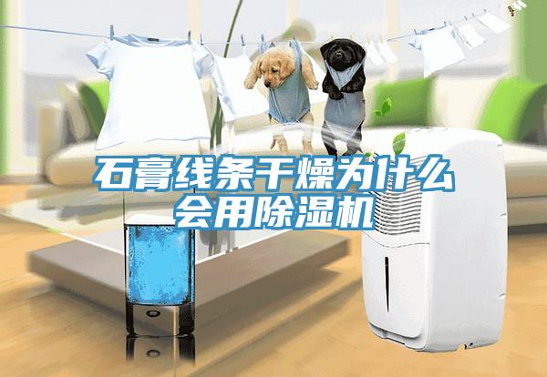 石膏線條幹燥為什麽會用香蕉视频国产