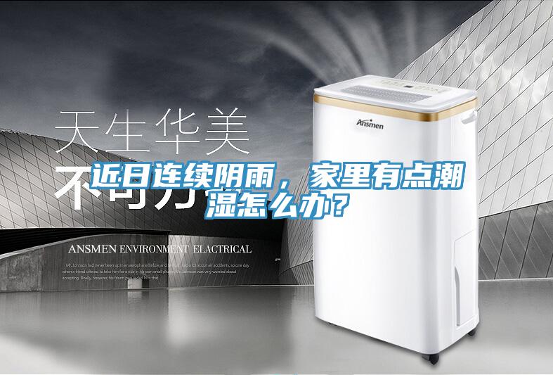 近日連續陰雨，家裏有點潮濕怎麽辦？