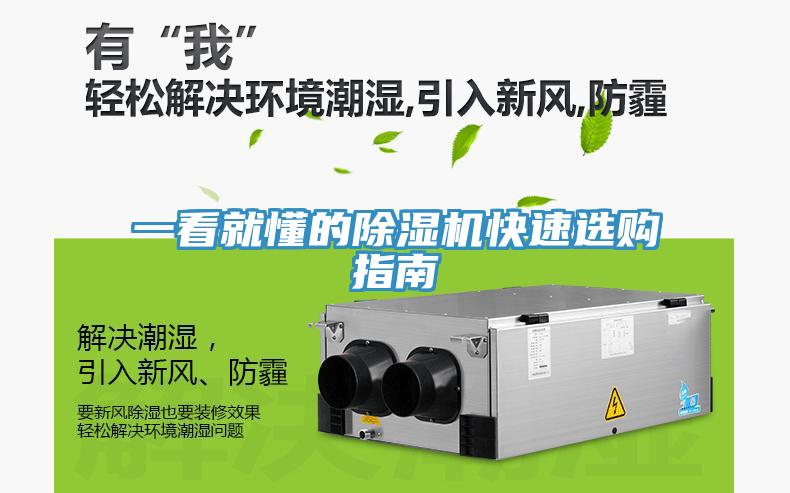 一看就懂的香蕉视频国产快速選購指南
