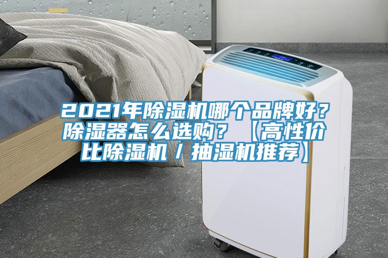 2021年香蕉视频国产哪個品牌好？除濕器怎麽選購？【高性價比香蕉视频国产／抽濕機推薦】