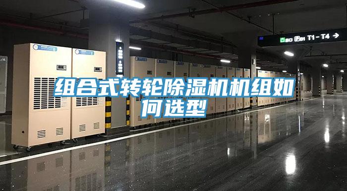 組合式轉輪香蕉视频国产機組如何選型