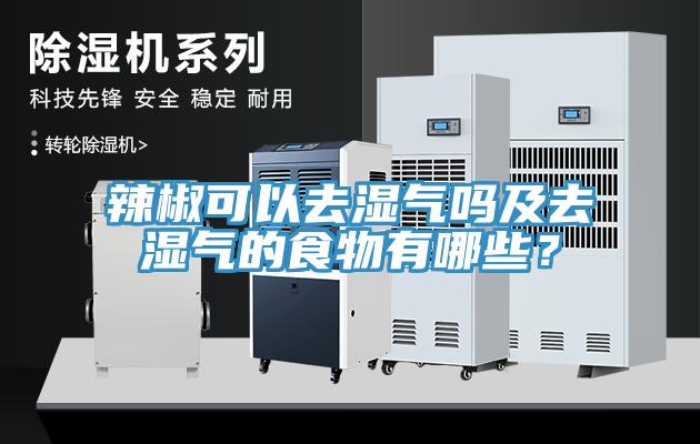 辣椒可以去濕氣嗎及去濕氣的食物有哪些？
