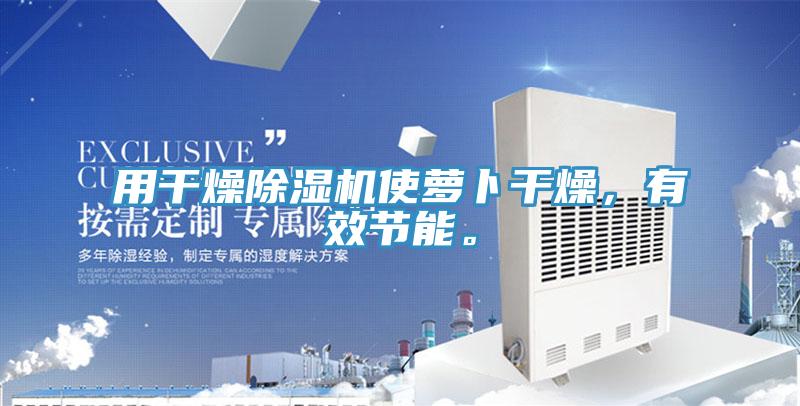 用幹燥香蕉视频国产使蘿卜幹燥，有效節能。