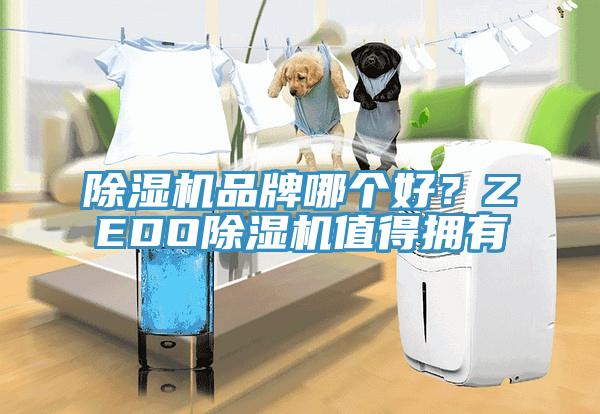 香蕉视频国产品牌哪個好？ZEDO香蕉视频国产值得擁有