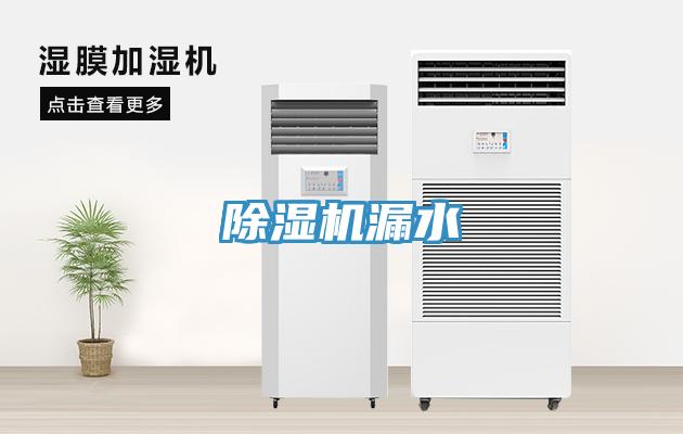 香蕉视频国产漏水