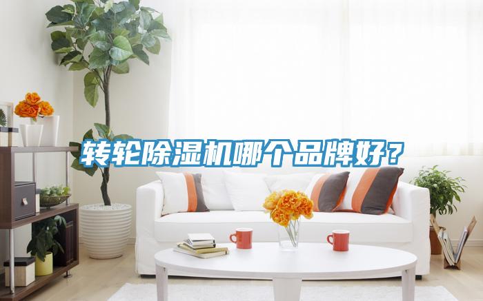 轉輪香蕉视频国产哪個品牌好？