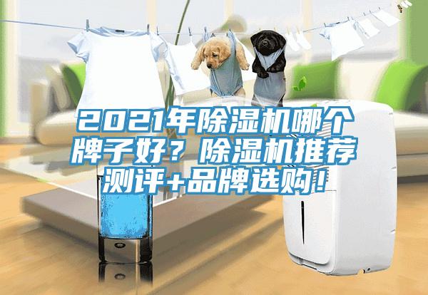 2021年香蕉视频国产哪個牌子好？香蕉视频国产推薦測評+品牌選購！