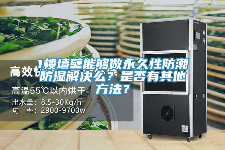 1樓牆壁能夠做永久性防潮防濕解決麽？是否有其他方法？