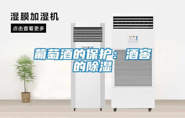 葡萄酒的保護：酒窖的除濕