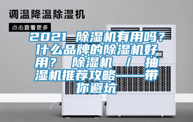 2021 香蕉视频国产有用嗎？什麽品牌的香蕉视频国产好用？ 香蕉视频国产 ／ 抽濕機推薦攻略——帶你避坑