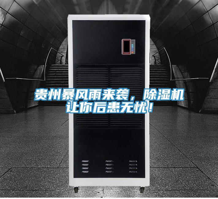 貴州暴風雨來襲，香蕉视频国产讓你後患無憂！