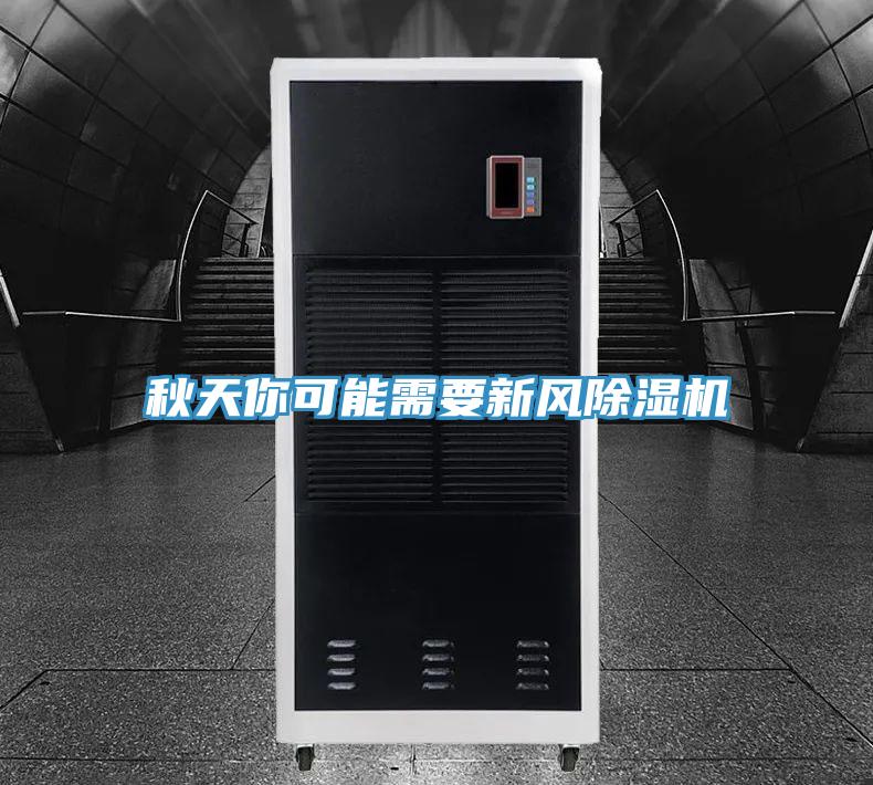 秋天你可能需要新風香蕉视频国产
