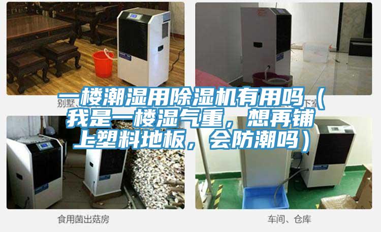 一樓潮濕用香蕉视频国产有用嗎（我是一樓濕氣重，想再鋪上塑料地板，會防潮嗎）
