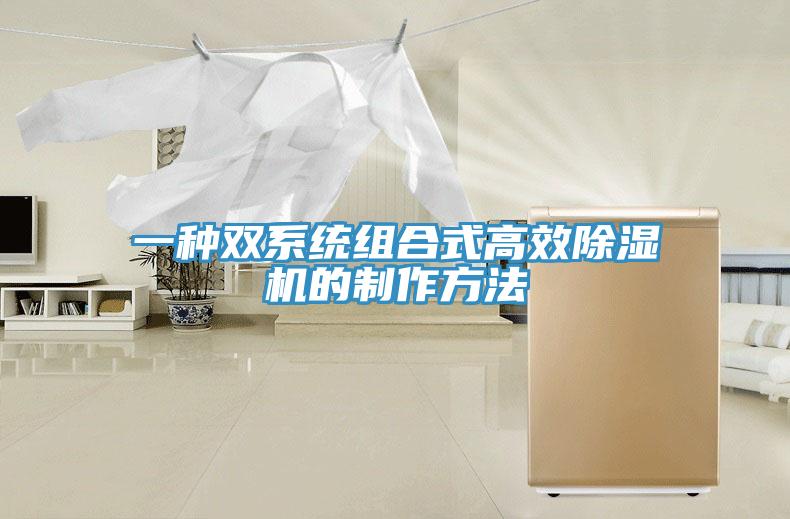 一種雙係統組合式高效香蕉视频国产的製作方法