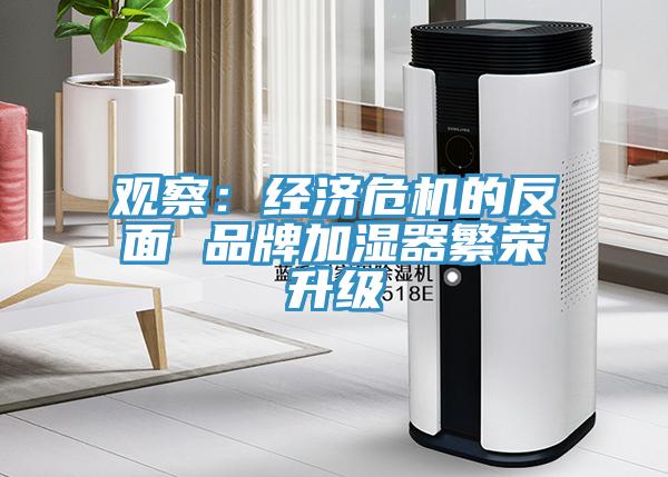 觀察：經濟危機的反麵 品牌加濕器繁榮升級