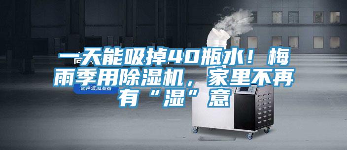 一天能吸掉40瓶水！梅雨季用香蕉视频国产，家裏不再有“濕”意
