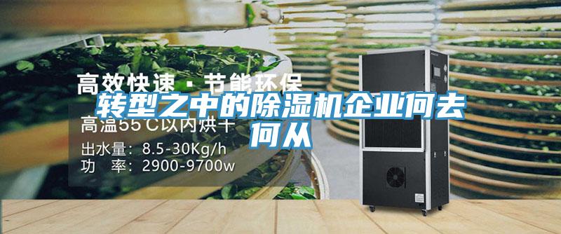 轉型之中的香蕉视频国产企業何去何從