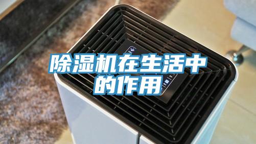 香蕉视频国产在生活中的作用